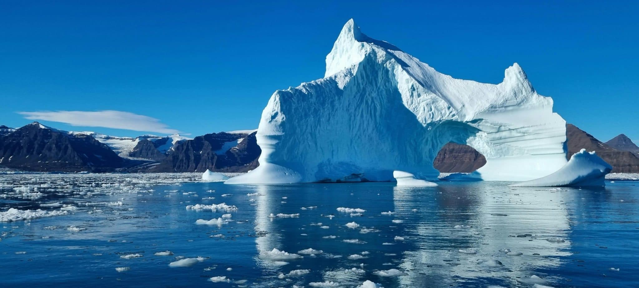 Iceberg
