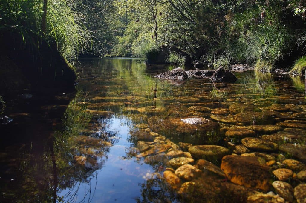 River